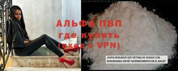 шишки Алзамай