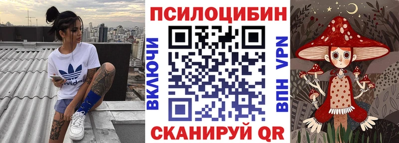 где найти   Добрянка  Псилоцибиновые грибы Psilocybe 